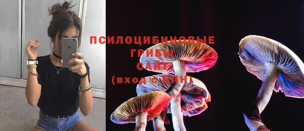 прущая мука Покровск