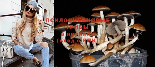 дмт Алексеевка