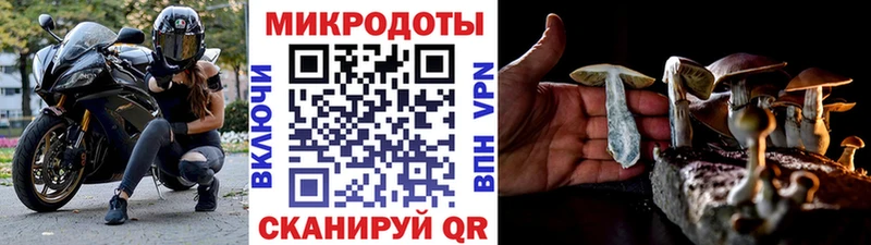 Галлюциногенные грибы GOLDEN TEACHER  дарнет шоп  Дзержинский 