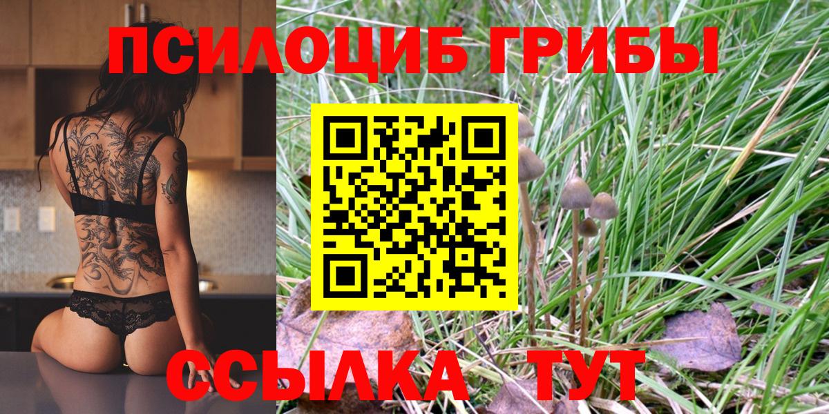 Галлюциногенные грибы MAGIC MUSHROOMS  Вход с VPN  Дзержинский 